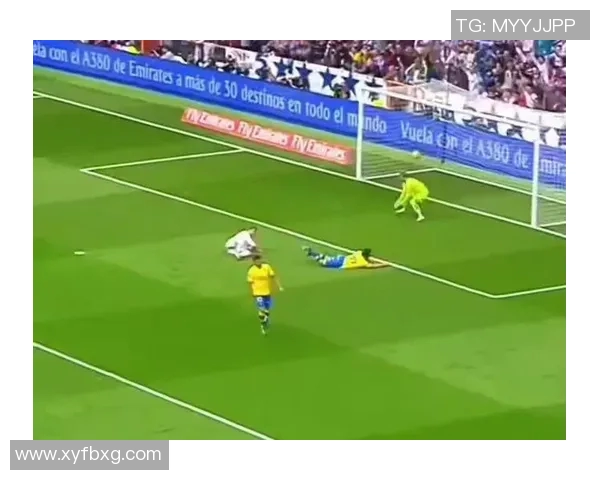 球迷疯狂行为引热议:冲进场内抢C罗球衣成欧冠奇观